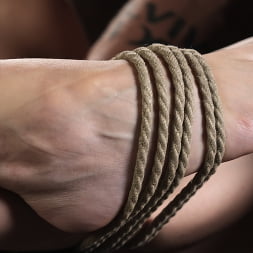 Octavia Red に 'Kink' もはや軽蔑されることはない (サムネイル 7)