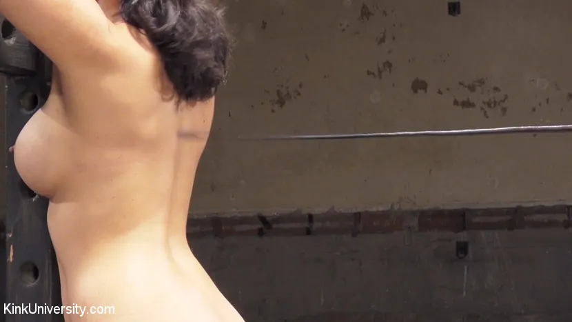 Kink 'Singletailing 101 (East Coast Swing)' starring Penny Barber (Photo 14)