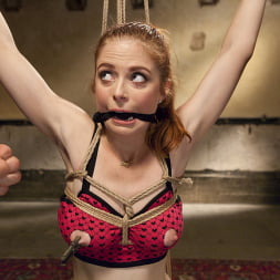 Penny Pax に 'Kink' ペニー・パックスギャグドとダブルぬいぐるみ (サムネイル 2)