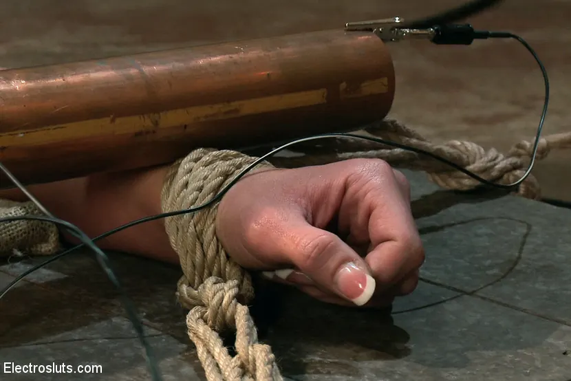 Phoenix Marie en '¡La puta sumisa de grandes tetas Phoenix no puede tener suficiente castigo electrosexual!' from 'Kink' (foto 3) Kink '¡La puta sumisa de grandes tetas Phoenix no puede tener suficiente castigo electrosexual!' protagonizando Phoenix Marie (foto 3)