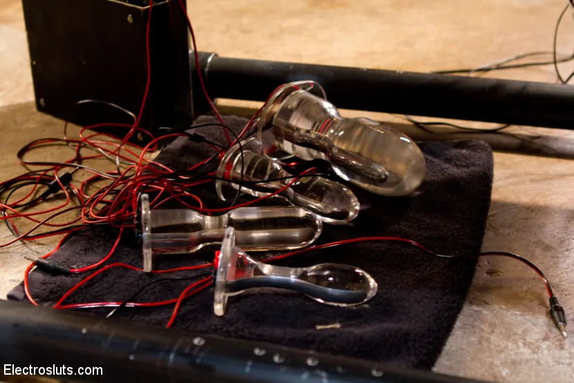 Kink 'エレクトーチ・ストレッチ' 主演 Phoenix Marie (写真 18)