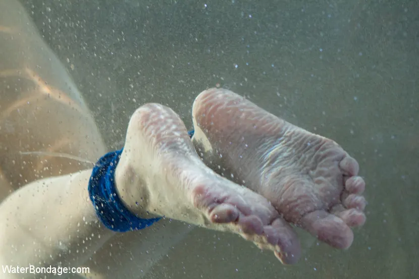 Kink 'パート3：タンク' 主演 Phoenix Marie (写真 19)