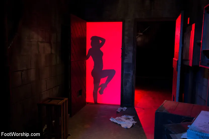 Kink 'XXX Red Light District Foot Worship XXX' starring Phoenix Marie (Photo 13)