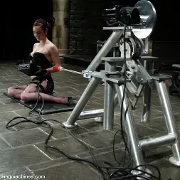 ピンキーリー に 'Kink' ピンキーリー (サムネイル 2)