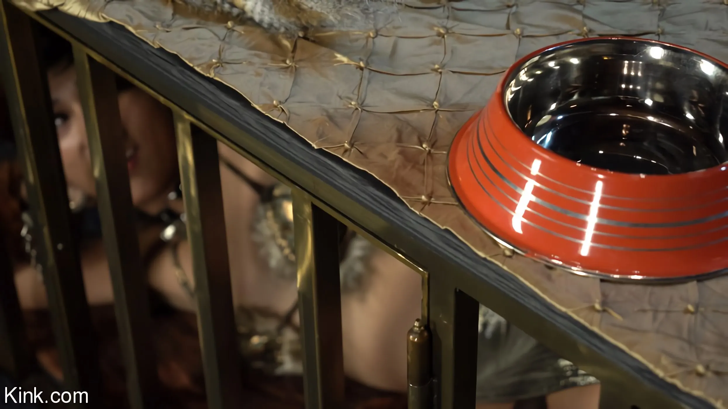 Kink 'メタモルフォーゼ' 主演 Pixi Lust (写真 1)