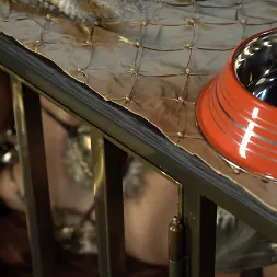 Pixi Lust に メタモルフォーゼ (写真 1) Pixi Lust に 'Kink' メタモルフォーゼ (サムネイル 1)