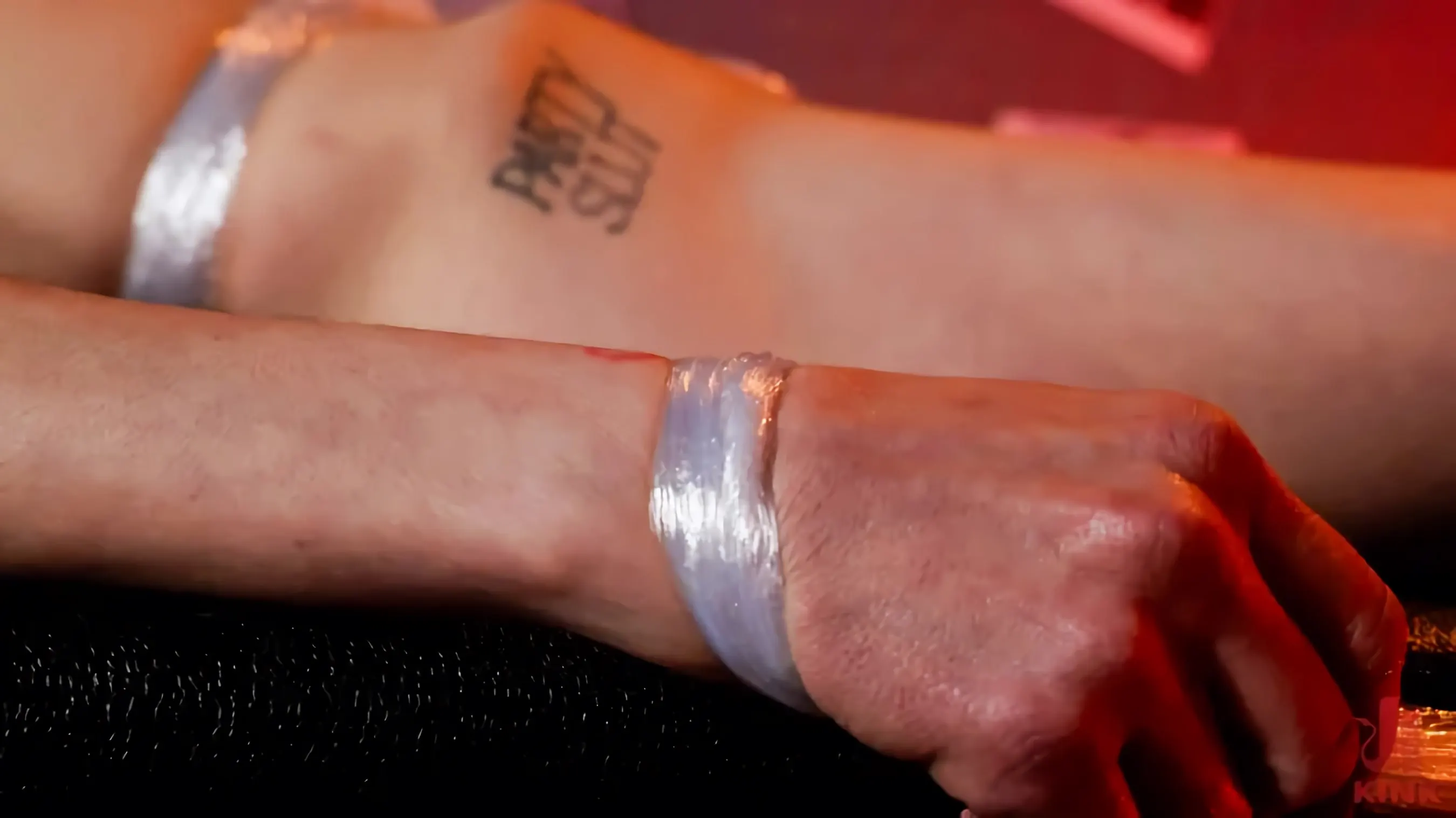 Kink 'Dark Passenger: Princess Donna Gets Bound and Fucked' starring Princess Donna Dolore (Photo 8)