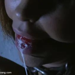 Princess Donna Dolore in 'Kink' Princess Donna Gangbanged - Part 1 (Thumbnail 7)