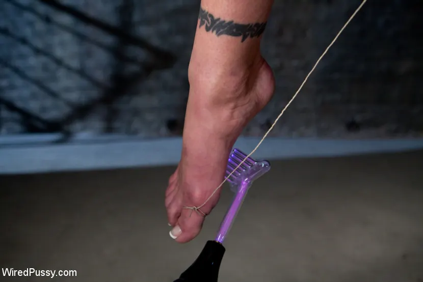 Kink 'Sexy Milf Tied Up and Dominated' starring Princess Donna Dolore (Photo 3)