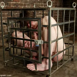 Princess Kali en and Neil (foto 1) Princess Kali en 'Kink' and Neil (Miniatura 1)