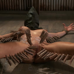 Rain DeGrey に 'Kink' ハードコア苦しみと残忍なオーガズム (サムネイル 16)