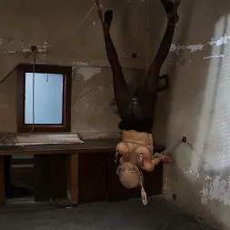 Rain DeGrey in 'Kink' THE RANSOM A Hogtied feature movie. A fantasy BDSM abduction movie starring Rain DeGrey (Thumbnail 23)