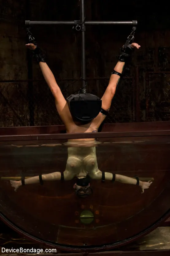 Kink '水中転倒Sybian大胆な大声でブロンドが嫌なオルガスムに苦しんでいる' 主演 Rain DeGrey (写真 8)