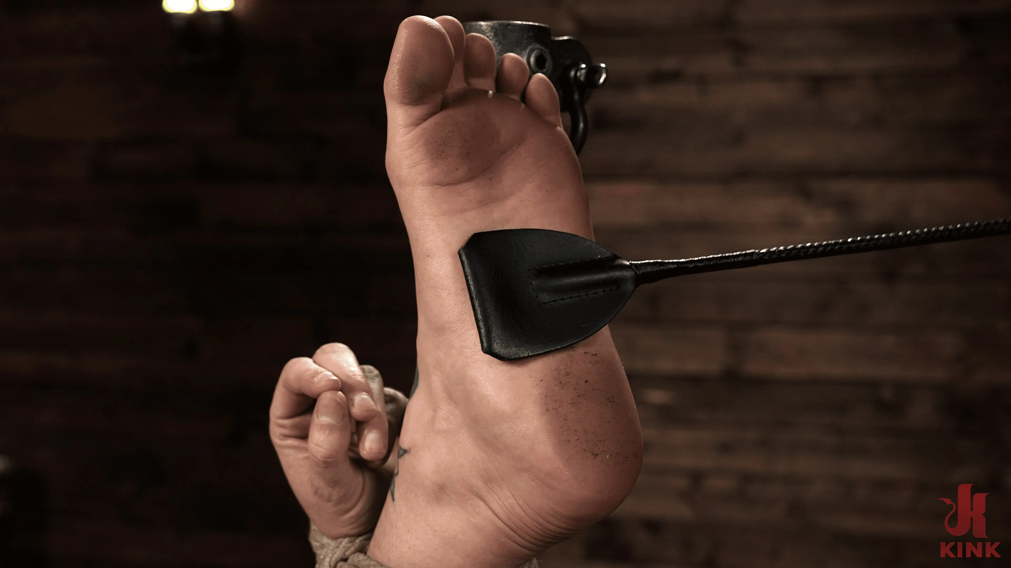 Kink '若い女はロープを学びます:レイヴンレーン' 主演 Raven Lane (写真 21)