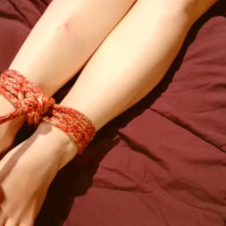 Ella Nova in 'Kink' Rope Bondage for Sex (Thumbnail 3)