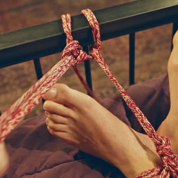 Ella Nova in 'Kink' Rope Bondage for Sex (Thumbnail 27)