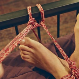 Reed Jameson in 'Kink' Rope Bondage for Sex (Thumbnail 27)