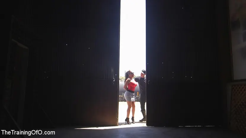 Kink 'ビッグアサルトの熟女リシェル・ライアンはロープボンデージで訓練され、犯された！' 主演 Richelle Ryan (写真 2)