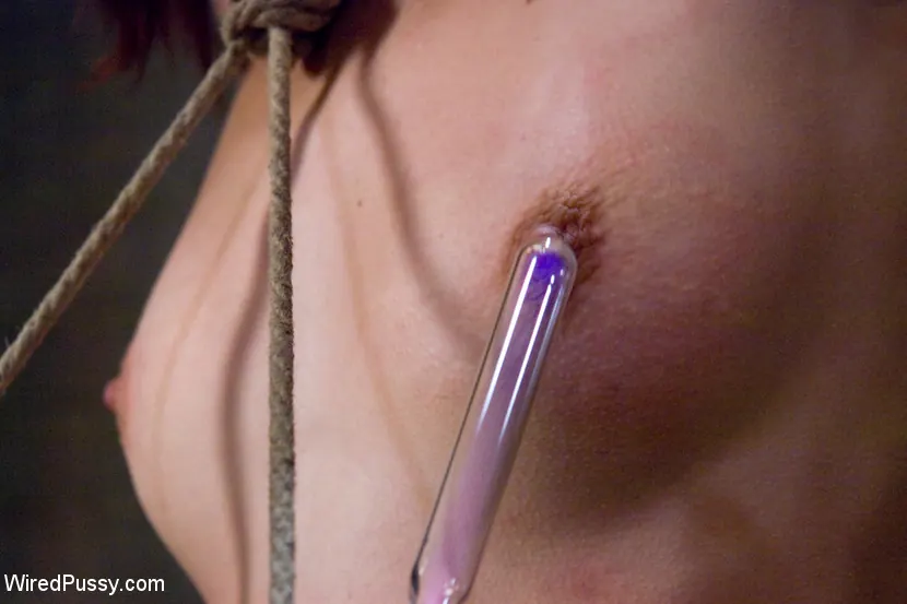 Kink 'in The Wall' protagonizando Riley Shy (foto 7)