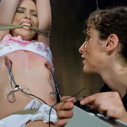 Riley Shy en 'Kink' in The Wall (Miniatura 14)