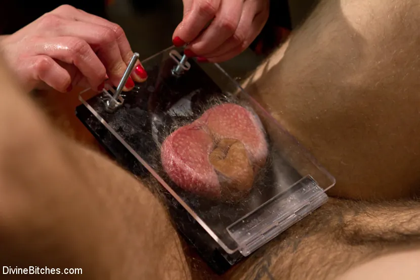 Riley Vlcek in 'Ode to Men In Pain Part 2: The Madeline Era' from 'Kink' (Photo 4) Kink 'Ode to Men In Pain Part 2: The Madeline Era' starring Riley Vlcek (Photo 4)