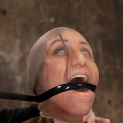 Rilynn Rae に 'Kink' リリーンが支配し、訓練された (サムネイル 6)