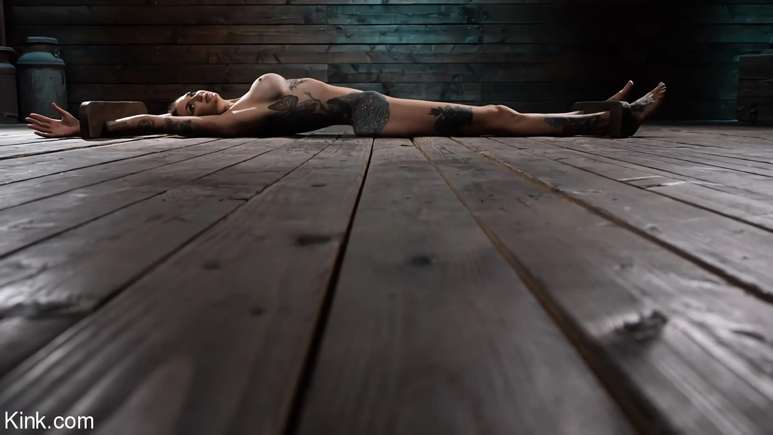 Kink 'Rocky Emerson: A Tall Tail' starring Rocky Emerson (Photo 14)