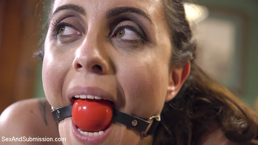 Kink '女性とメイド' 主演 Roxanne Rae (写真 15)