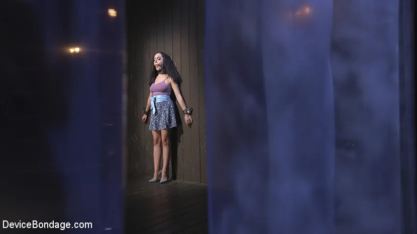 Kink 'Siguiendo el ejemplo' protagonizando Roxanne Rae (foto 1)