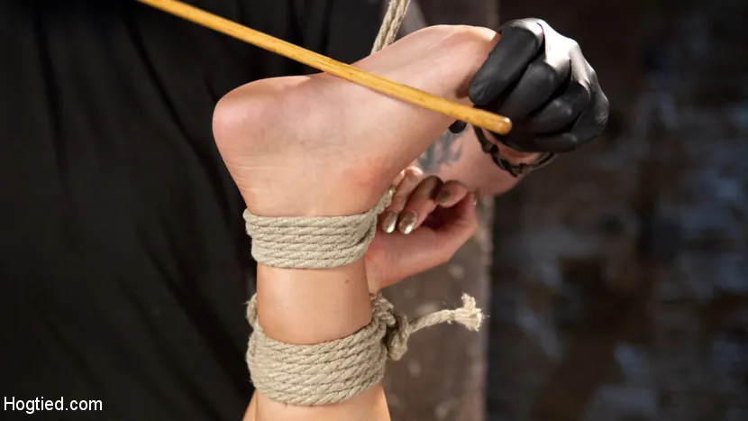 Kink 'Fisting anal devastador en esclavitud brutal' protagonizando Roxy Raye (foto 17)