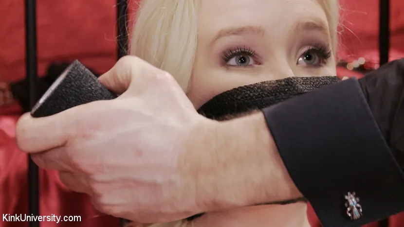 Kink '灰色の50技：Easy、Sexy Bondage（ロープ、ネクタイ、テープ、その他）' 主演 Samantha Rone (写真 12)