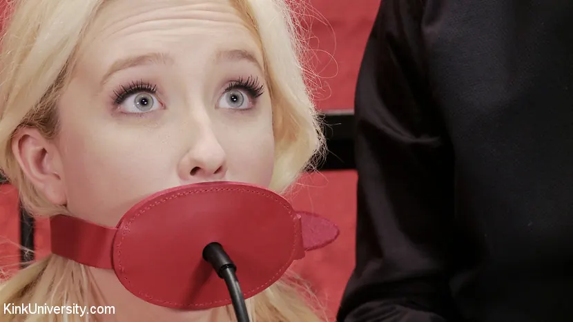 Kink '灰色の50技：Easy、Sexy Bondage（ロープ、ネクタイ、テープ、その他）' 主演 Samantha Rone (写真 19)