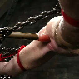 サラ・ブレイク に サラ・ブレイク (写真 9) サラ・ブレイク に 'Kink' サラ・ブレイク (サムネイル 9)