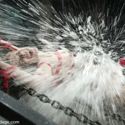 サラ・ブレイク に サラ・ブレイク (写真 10) サラ・ブレイク に 'Kink' サラ・ブレイク (サムネイル 10)