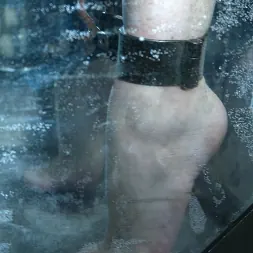 サラ・ブレイク に サラ・ブレイク (写真 14) サラ・ブレイク に 'Kink' サラ・ブレイク (サムネイル 14)