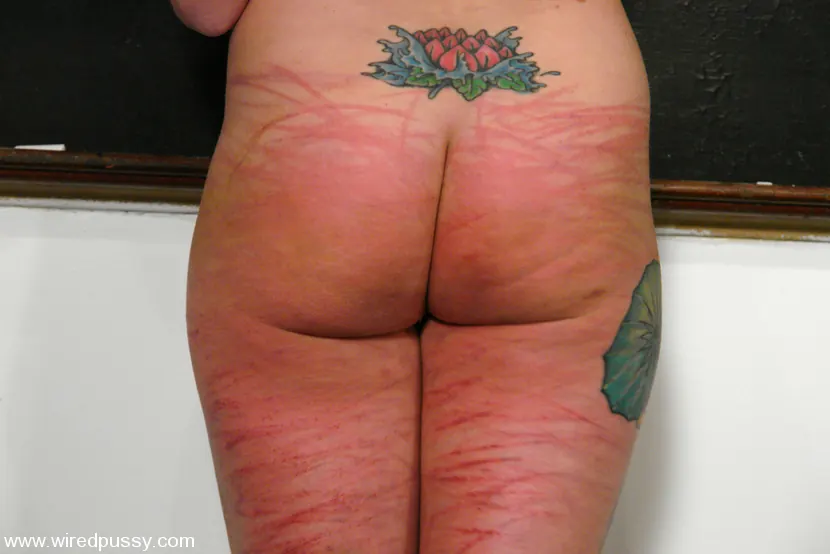Kink 'COLLECTION: Part 2' starring Sarah Jane Ceylon (Photo 6)