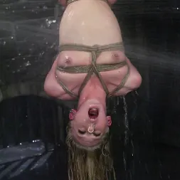 サラジェーンセイロン に 'Kink' サラジェーンセイロン (サムネイル 13)