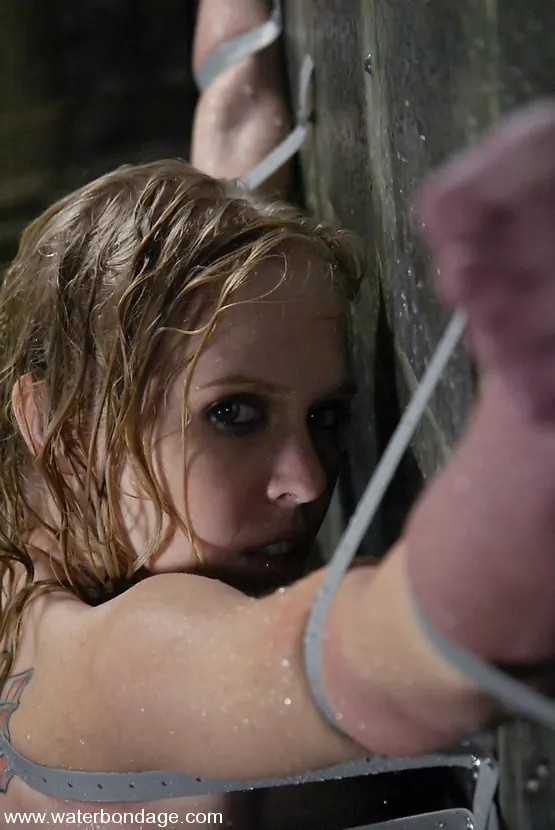 Sarah Jane Ceylon in 'Sarah Jane Ceylon' from 'Kink' (Photo 14) Kink 'Sarah Jane Ceylon' starring Sarah Jane Ceylon (Photo 14)