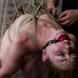 Sarah Shevon に 'Kink' 青い目の美しさサラシェボンは、古典的な趣向に挑戦しました (サムネイル 3)