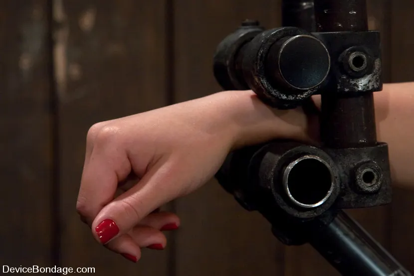 Kink 'Joins the ranks of Device Models' protagonizando Sarah Shevon (foto 10)