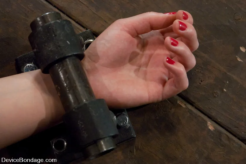 Kink 'The Pile Driver' protagonizando Sarah Shevon (foto 9)