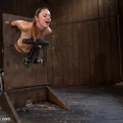 Sasha in Innocent 19 year old first-timer and Alpha equals Pure Magic (Photo 3) Sasha in 'Kink' Innocent 19 year old first-timer and Alpha equals Pure Magic (Thumbnail 3)