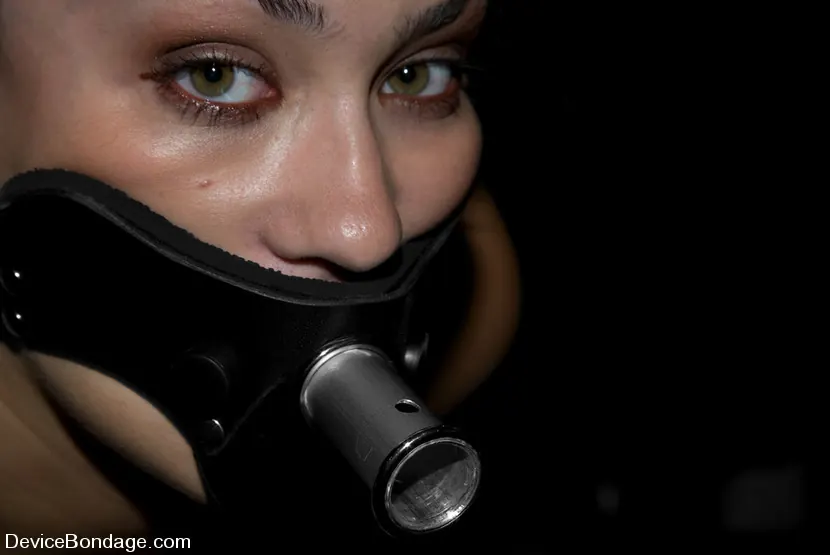 Sasha Grey に 'KINKクラシック2/20。カウントダウンを再開!' from 'Kink' (写真 14) Kink 'KINKクラシック2/20。カウントダウンを再開!' 主演 Sasha Grey (写真 14)