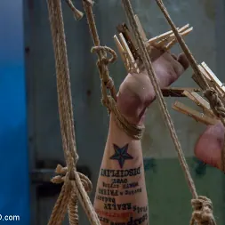 Sasha Knox in 'Kink' The Training of Sasha Knox, Day Four LIVE! (Thumbnail 9)