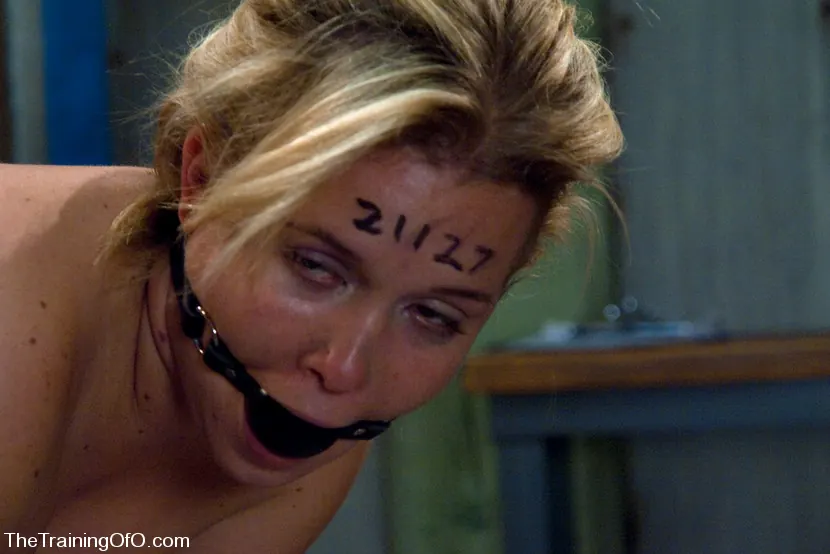 Sasha Knox in 'The Training of Sasha Knox, Day Three' from 'Kink' (Photo 12) Kink 'The Training of Sasha Knox, Day Three' starring Sasha Knox (Photo 12)