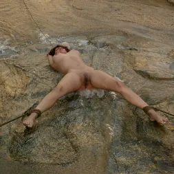 サーシャモネ に サーシャモネ (写真 9) サーシャモネ に 'Kink' サーシャモネ (サムネイル 9)