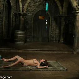 サーシャモネ に サーシャモネ (写真 11) サーシャモネ に 'Kink' サーシャモネ (サムネイル 11)