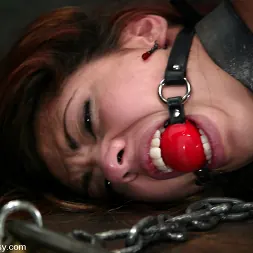 Satine Phoenix in 'Kink' and Tory Lane (Thumbnail 11)