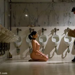 Satine Phoenix in 'Kink' The Training Of Satine Phoenix, Day Three (Thumbnail 19)