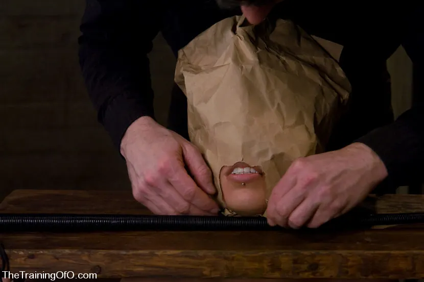 Kink 'El entrenamiento de Satine Phoenix, día seis' protagonizando Satine Phoenix (foto 7)